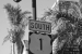 Key West, Florida - United States of America